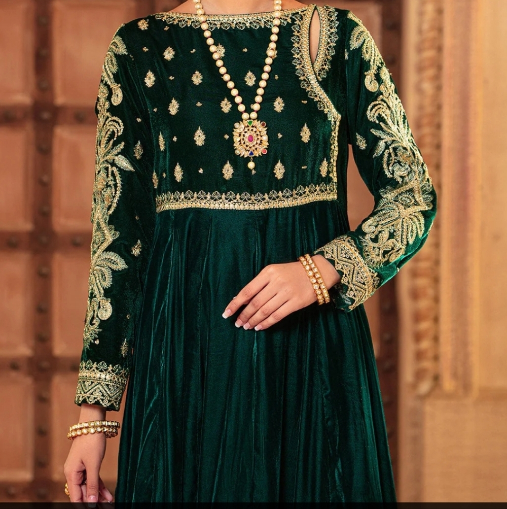 Pakistani Elegant Green and Gold Valvet Embellished Gown